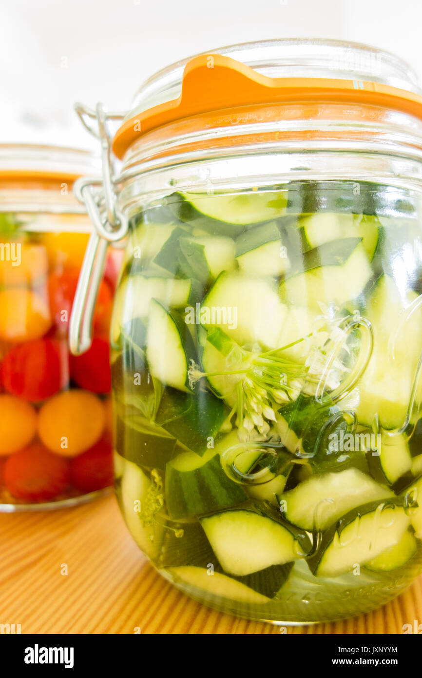 Fermentation Station